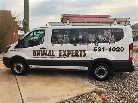 Animal control tucson - Home Bird Control Tucson, AZ. Need Bird Control Services in Tucson? Give Us A Call Today! (602) 847-2500. Contents.